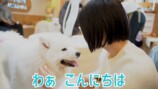 岡田紗佳とシモリュウ前田のデート動画反響の画像