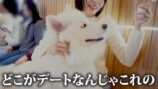 岡田紗佳とシモリュウ前田のデート動画反響の画像