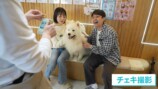 岡田紗佳とシモリュウ前田のデート動画反響の画像