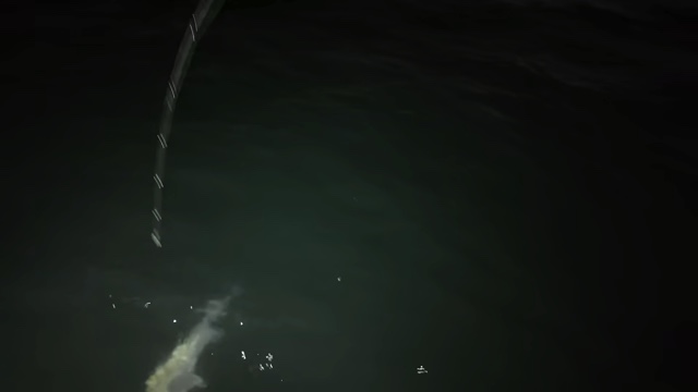 中尾明慶が釣り上げたシーバス