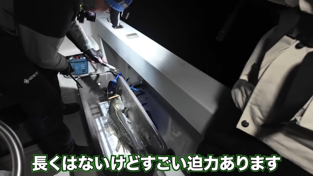 中尾明慶が釣り上げたシーバス