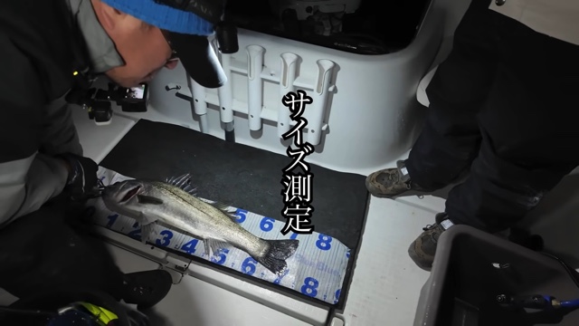 中尾明慶が釣り上げたシーバス