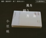 小原晩による初の小説『風を飼う方法』発売の画像
