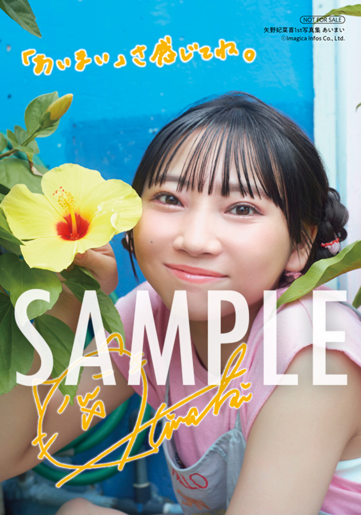 矢野妃菜喜写真集『あいまい』誕生日に発売の画像