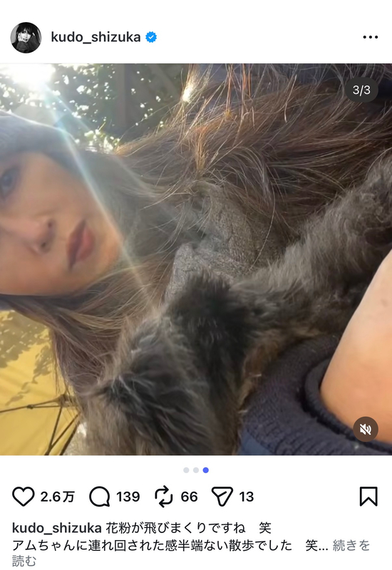 工藤静香、愛犬と散歩の画像