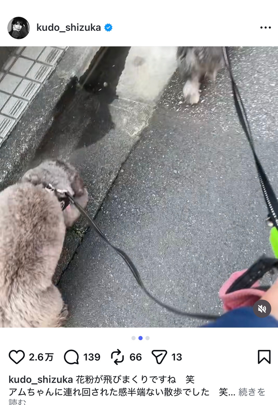 工藤静香、愛犬と散歩の画像