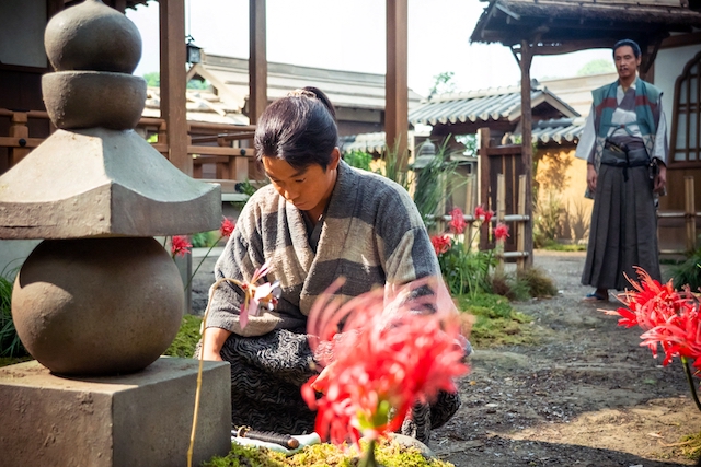 『豊臣兄弟！』菅田将暉がで真骨頂を発揮！の画像
