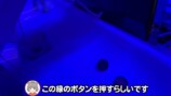 人気VTuberぽこピー「人間洗濯機」体験の画像