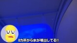 人気VTuberぽこピー「人間洗濯機」体験の画像
