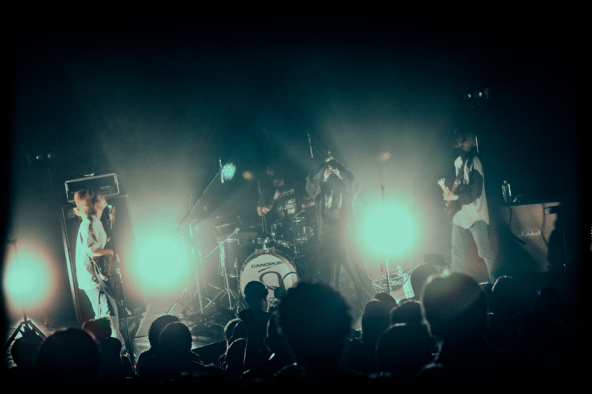 Nikoん ライブ写真