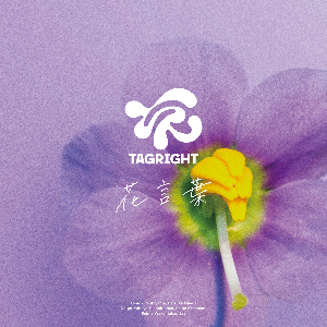 TAGRIGHT「花言葉」ジャケット写真