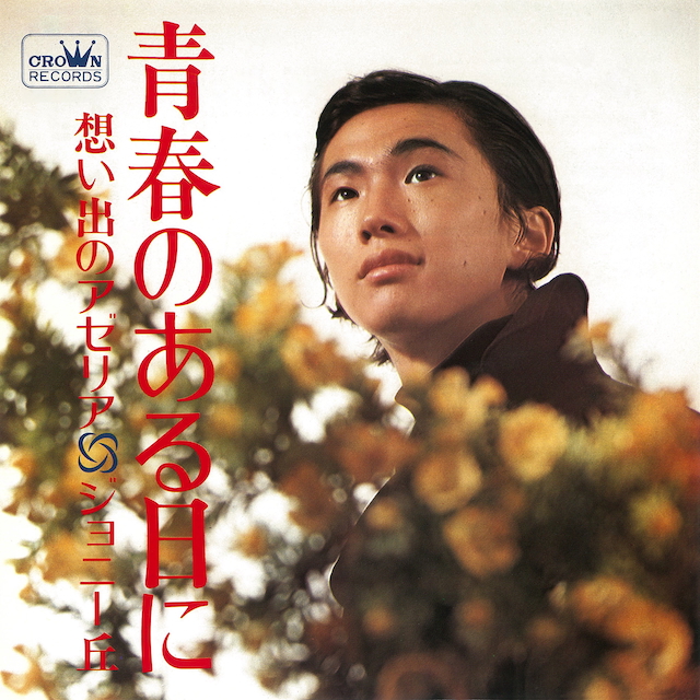 ジョニー丘『青春のある日に』