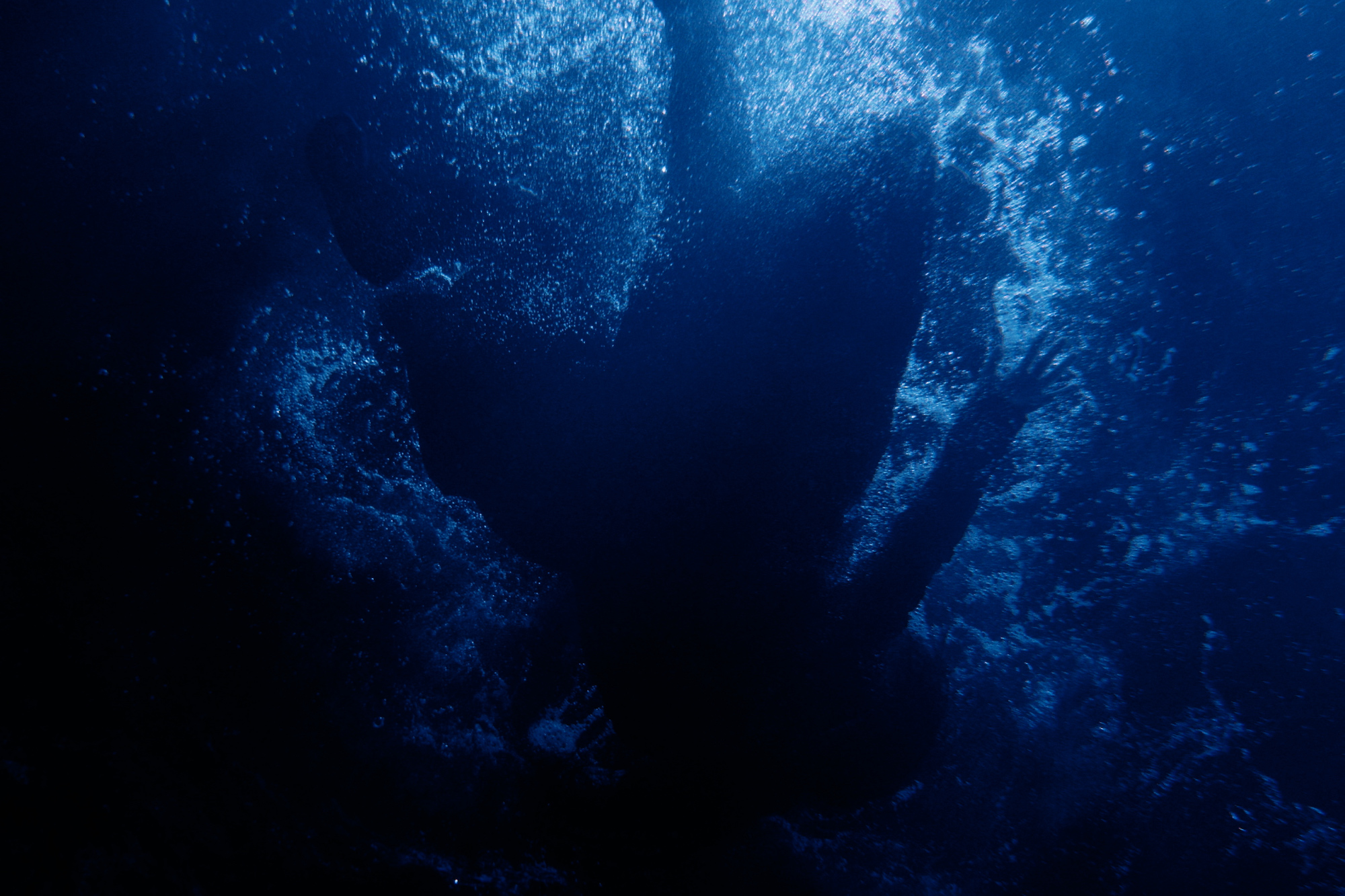 Ado「ビバリウム」MVより