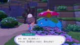 『ぽこ あ ポケモン』のプレイ画面