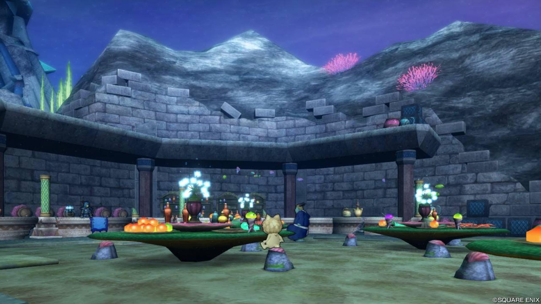 『ドラゴンクエストX』　スクリーンショット