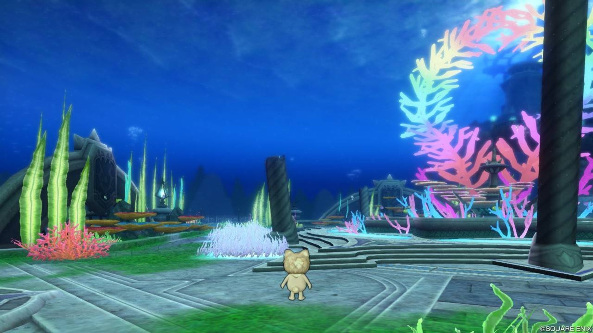 『ドラゴンクエストX』　スクリーンショット