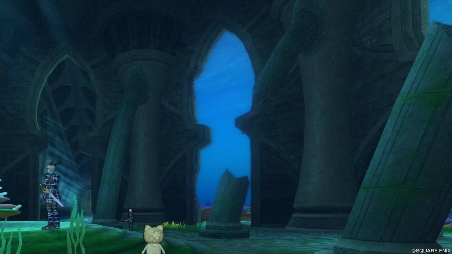 『ドラゴンクエストX』　スクリーンショット