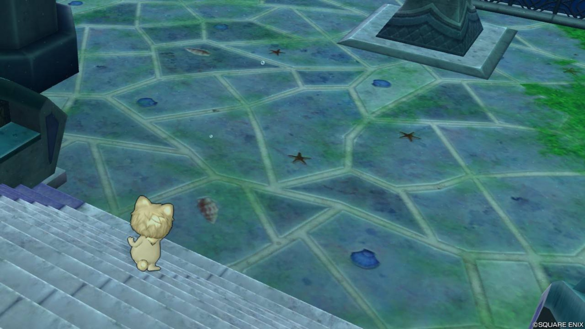 『ドラゴンクエストX』　スクリーンショット