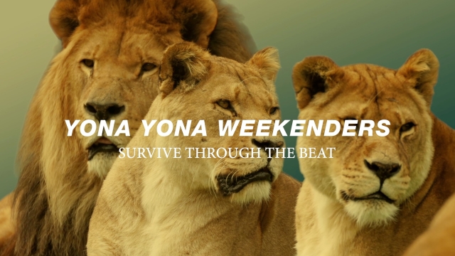 YONA YONA WEEKENDERS「TOKIO DUNGEON」ティザー映像より