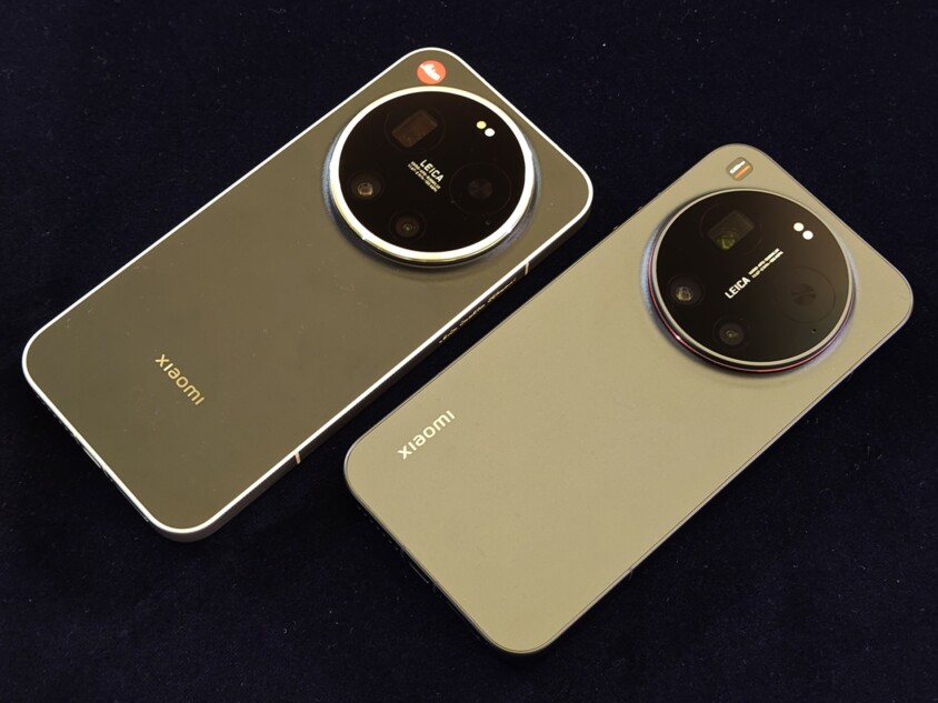 背面デザインが異なる