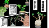 【漫画】多肉植物の次に流行るのは？の画像