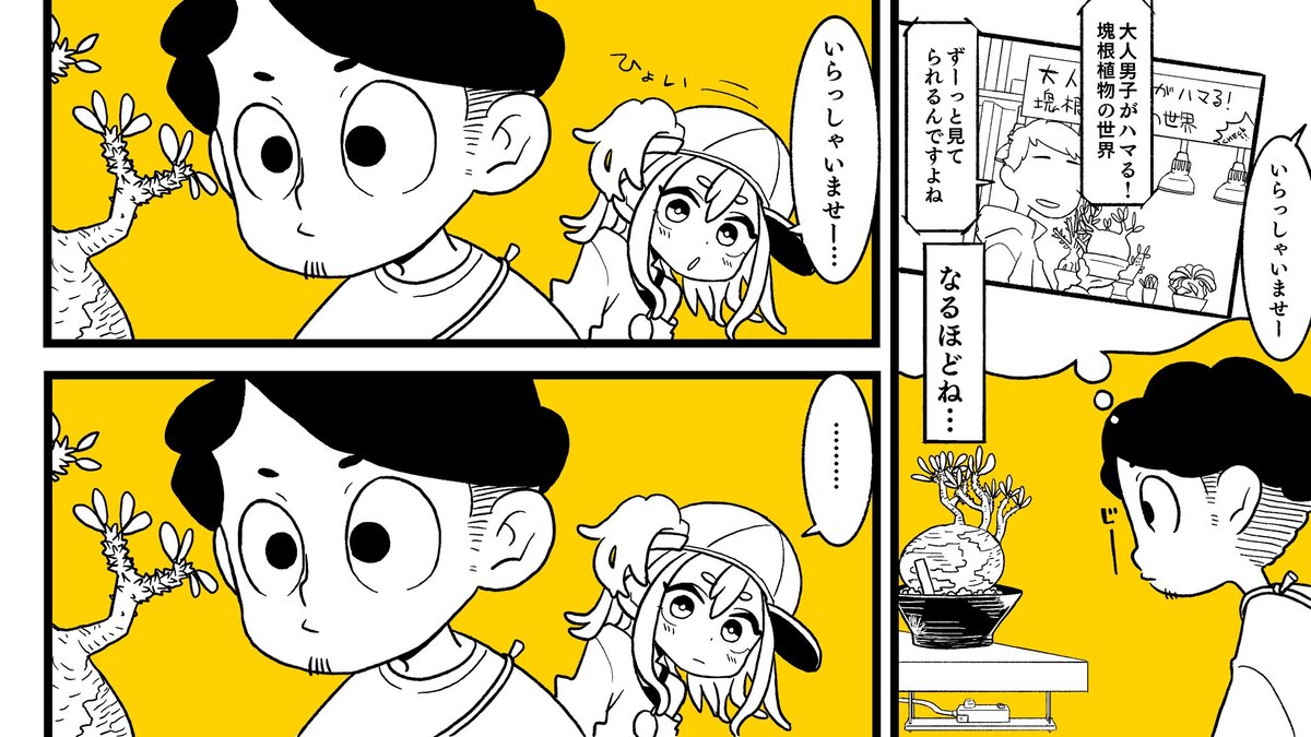 【漫画】多肉植物の次に流行るのは？の画像