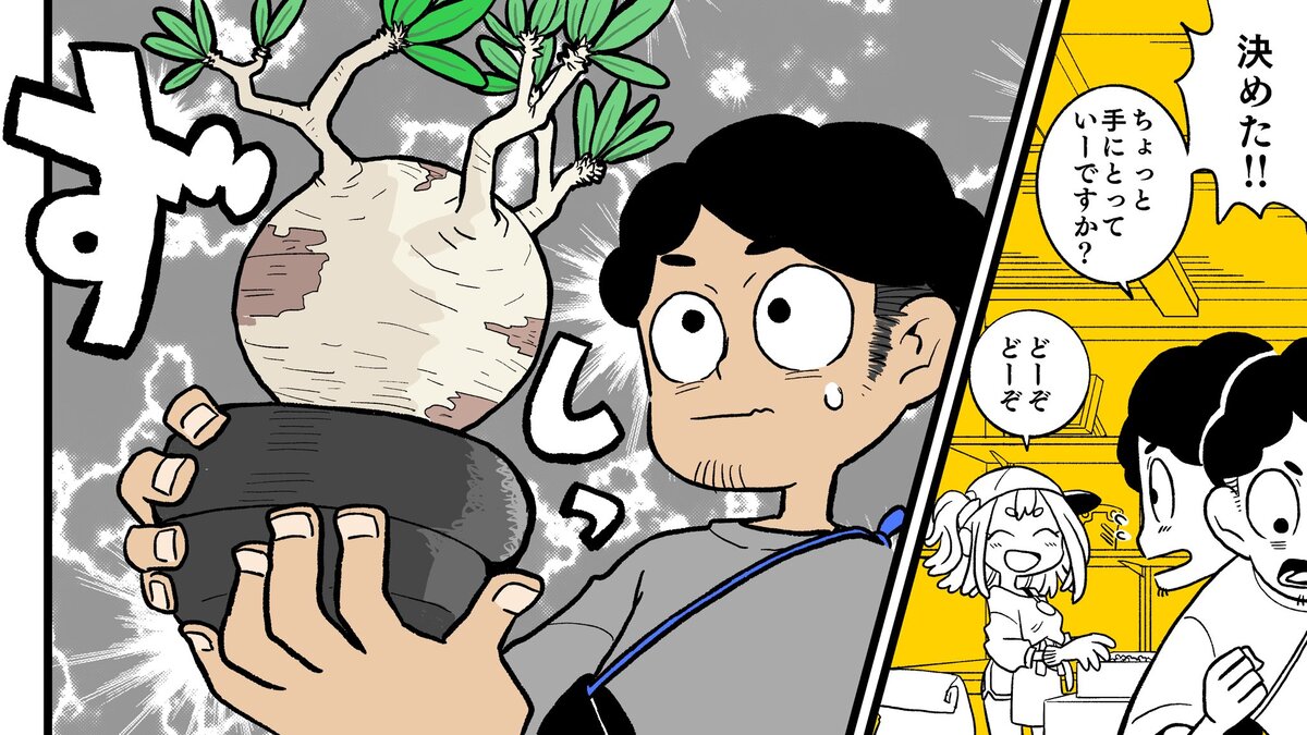 【漫画】多肉植物の次に流行るのは？の画像