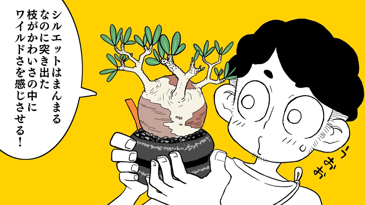 【漫画】多肉植物の次に流行るのは？の画像