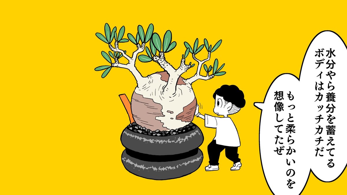 【漫画】多肉植物の次に流行るのは？の画像