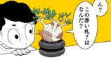 【漫画】多肉植物の次に流行るのは？の画像