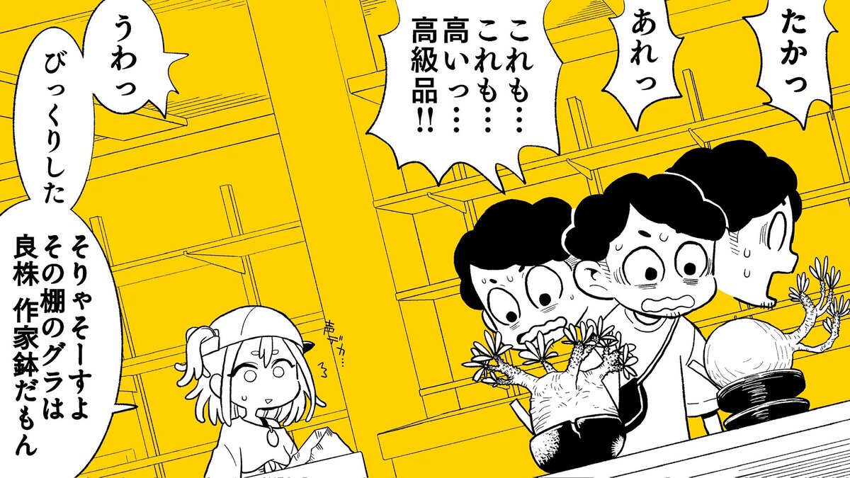 【漫画】多肉植物の次に流行るのは？の画像
