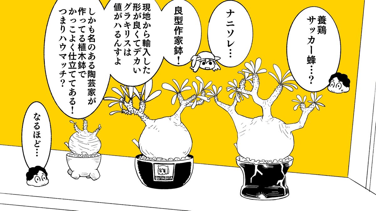 【漫画】多肉植物の次に流行るのは？の画像