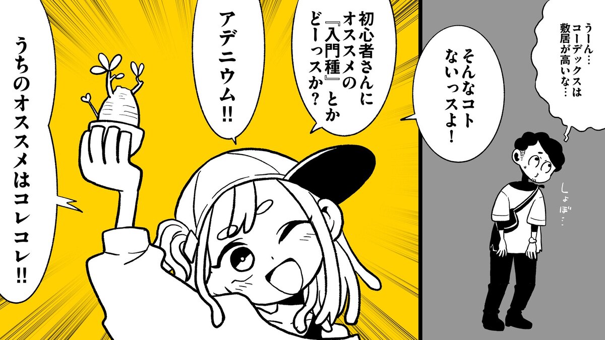【漫画】多肉植物の次に流行るのは？の画像