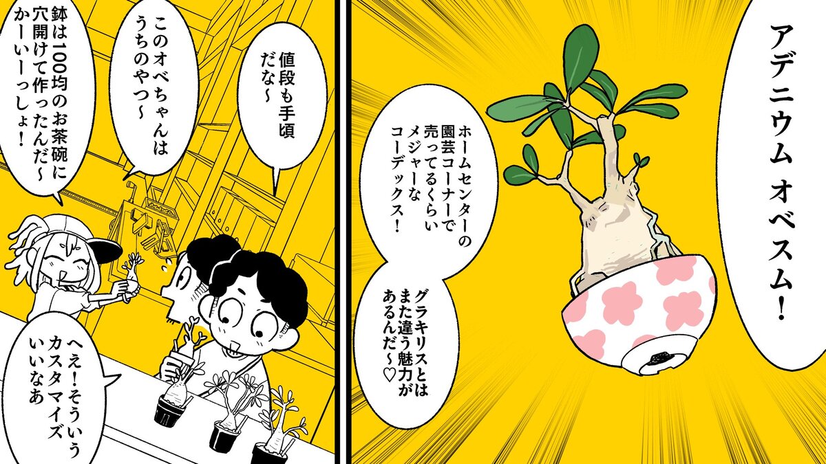 【漫画】多肉植物の次に流行るのは？の画像