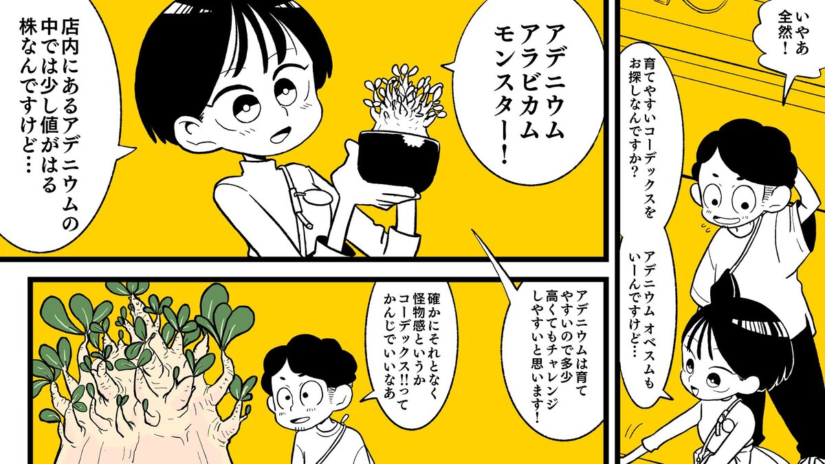 【漫画】多肉植物の次に流行るのは？の画像