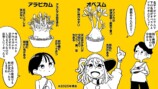 【漫画】多肉植物の次に流行るのは？の画像