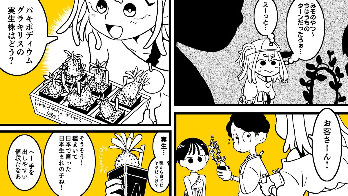 【漫画】多肉植物の次に流行るのは？の画像