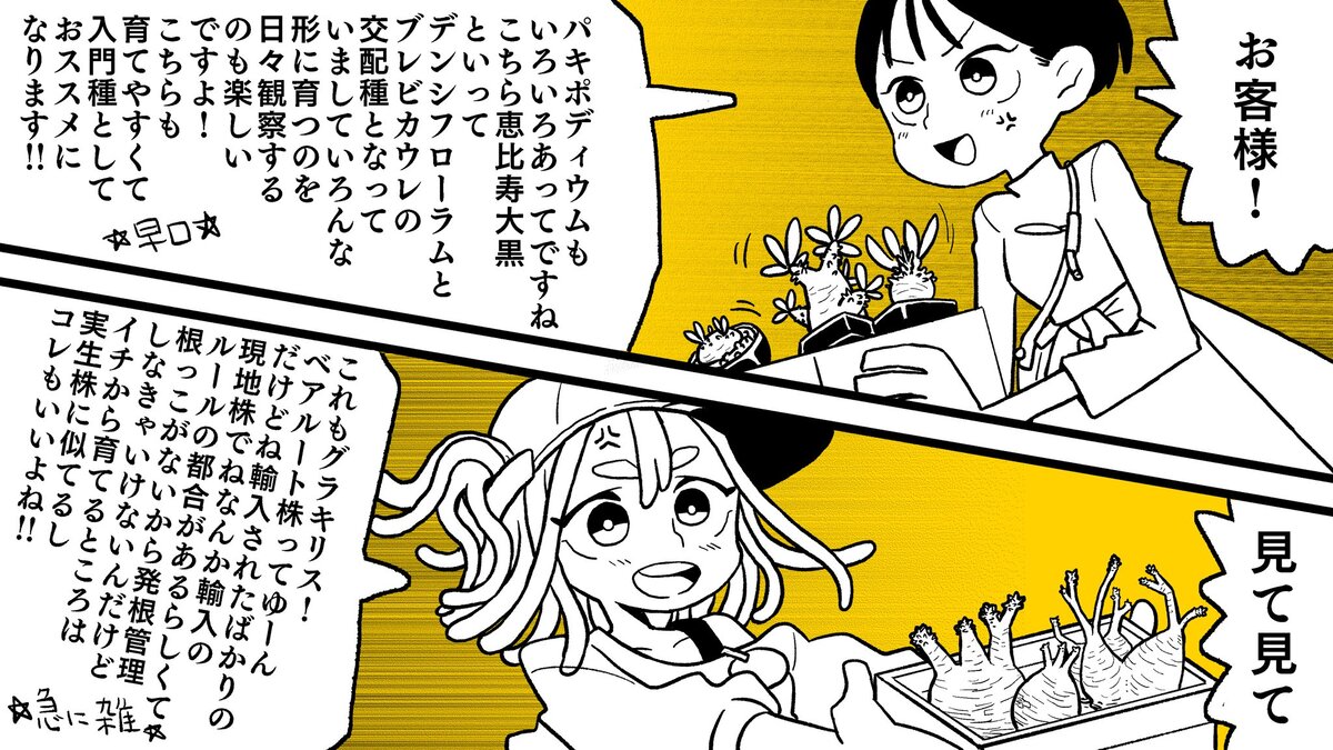 【漫画】多肉植物の次に流行るのは？の画像