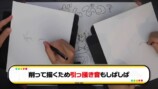 なつめさんちが紹介した銀筆の描き心地