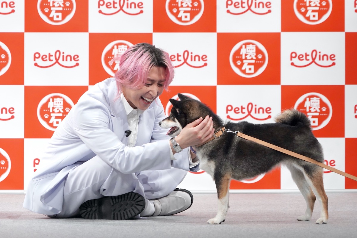 佐久間大介、柴犬にも紳士に対応