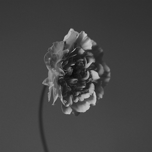 「You Got to Feel It (feat. Bnnyhunna)」ジャケット写真