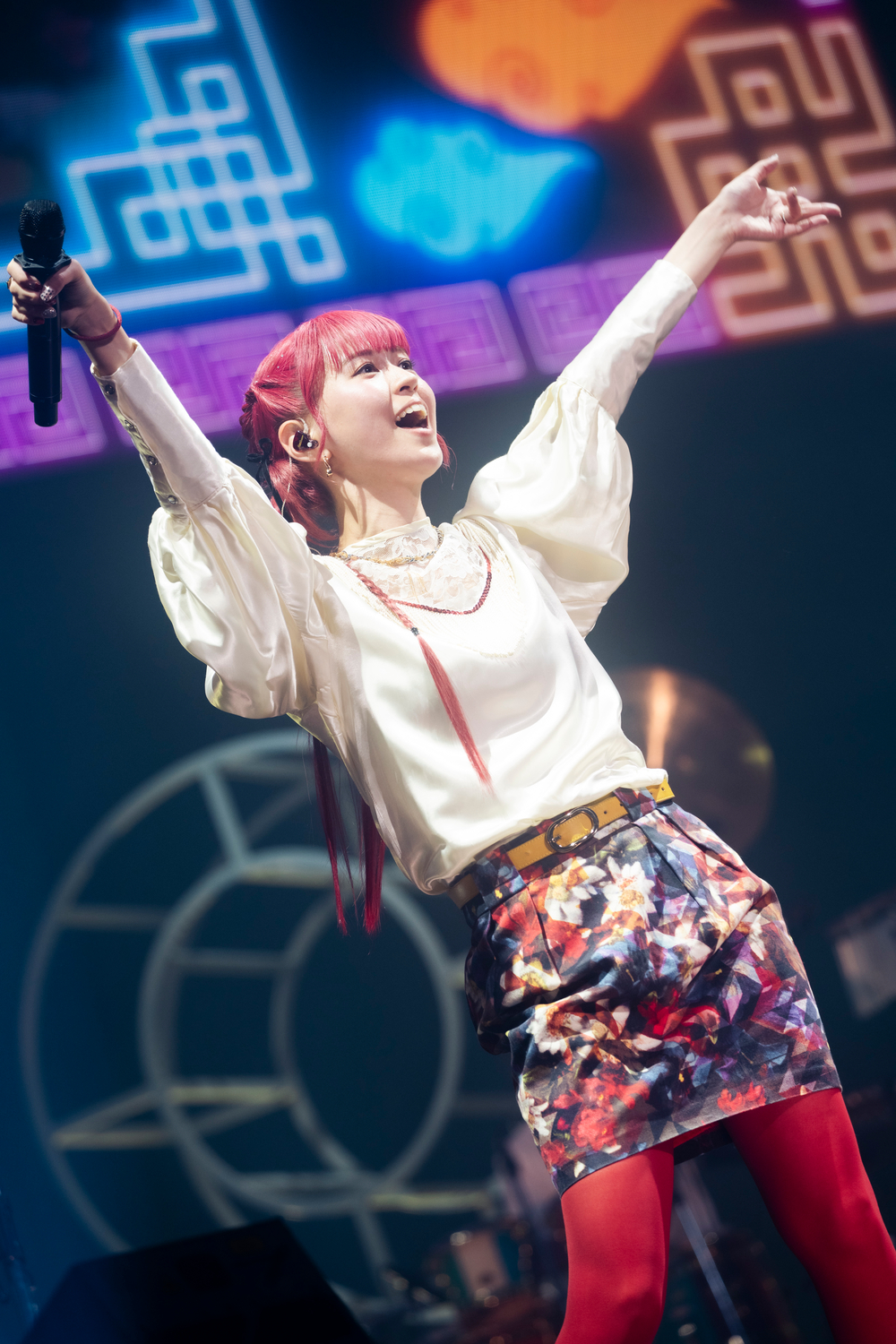 Penthouse 武道館ライブ写真