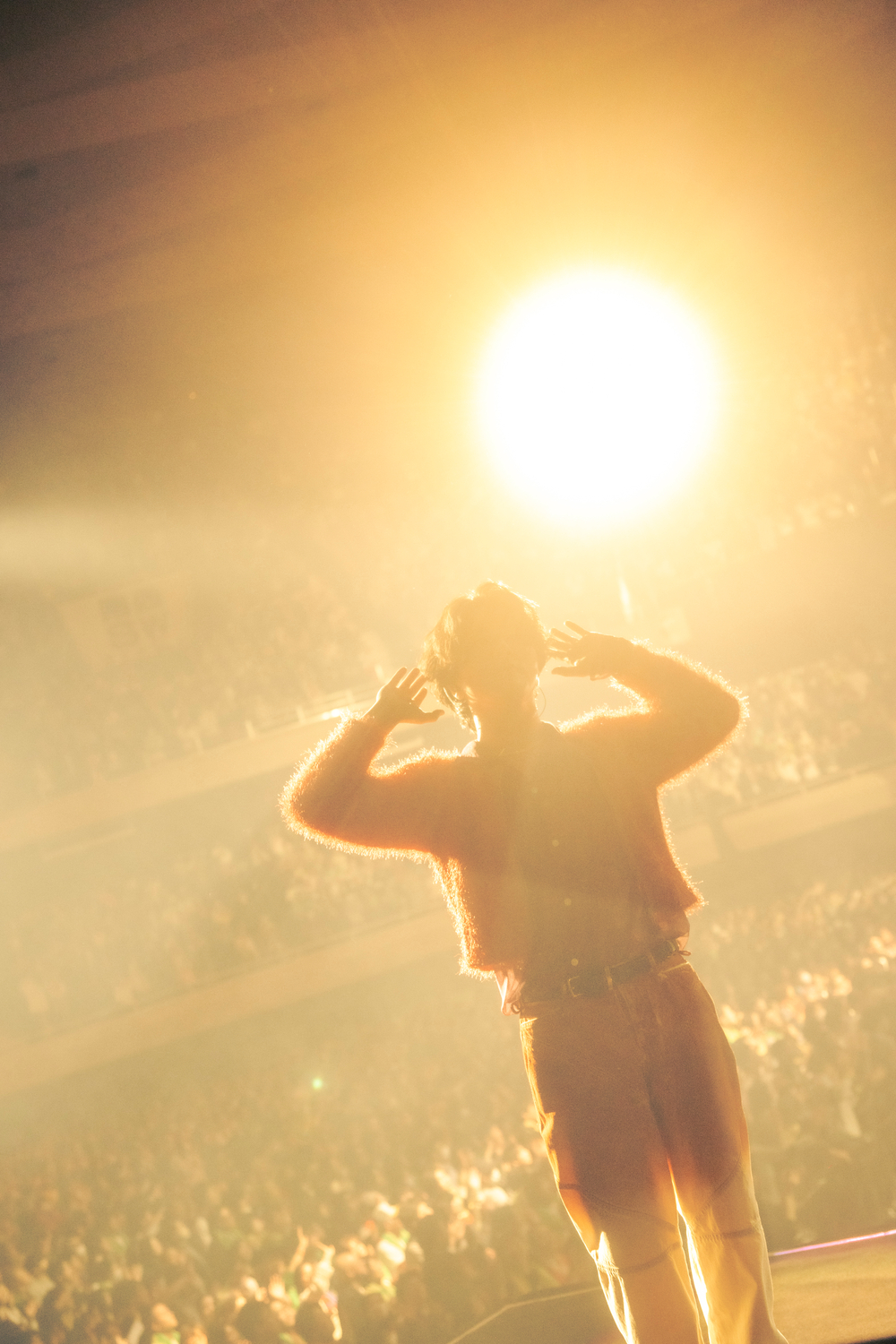 Penthouse 武道館ライブ写真