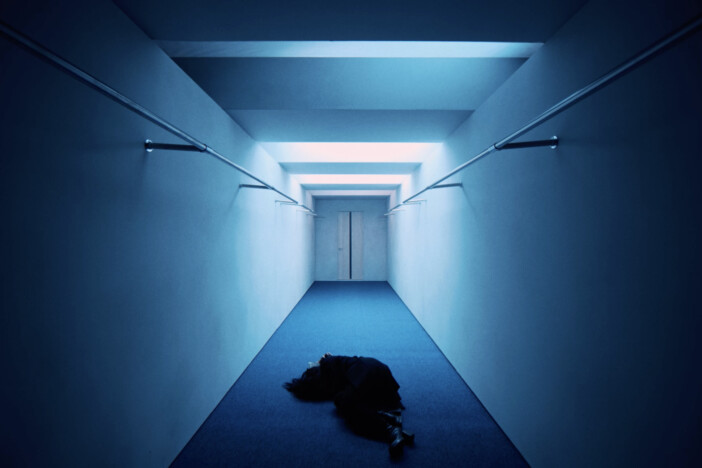 Ado&times;林響太朗&times;大野瑞樹 特別対談