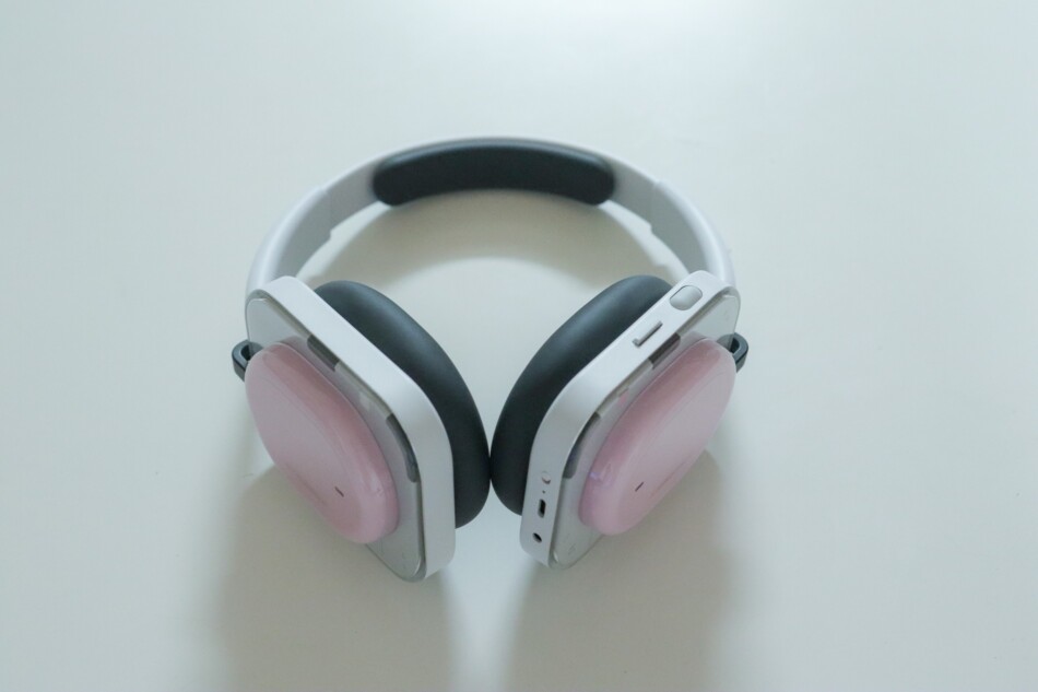 上部にあるのがローラーで、下部にあるのがパドル