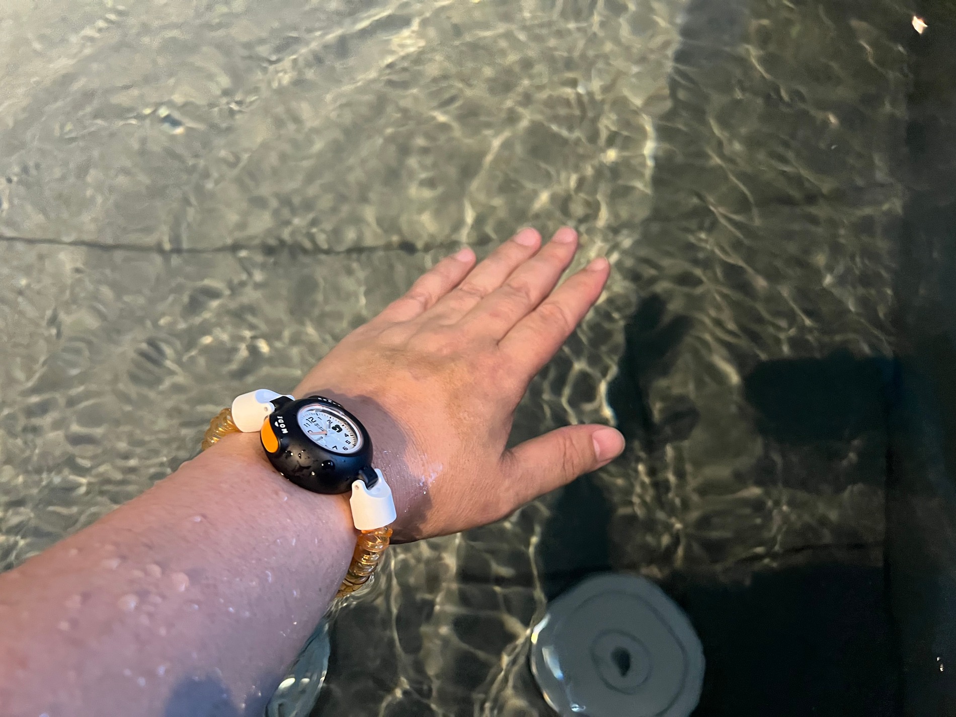 即完売を繰り返す「サ時計」は使える？の画像