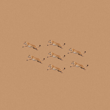 なぜBialystocksは特別なのか？