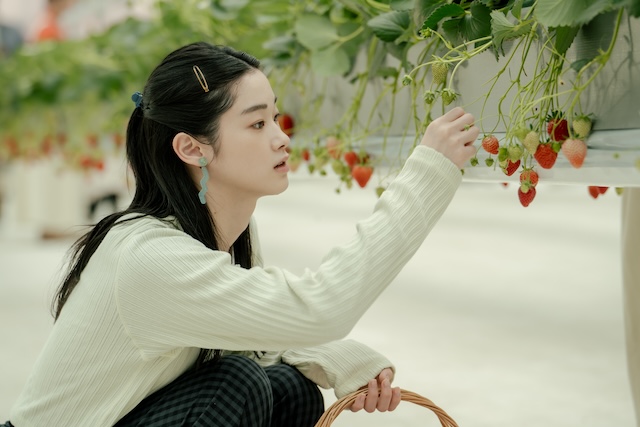 『冬のさ春のね』文菜×ゆきおの関係に決着の画像