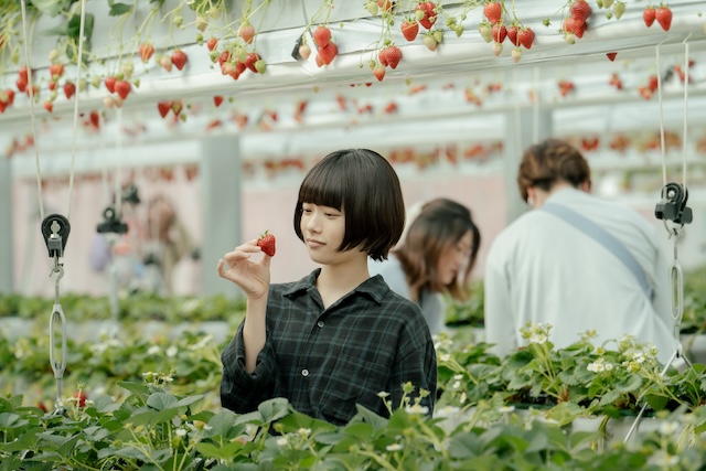 『冬のさ春のね』文菜×ゆきおの関係に決着の画像