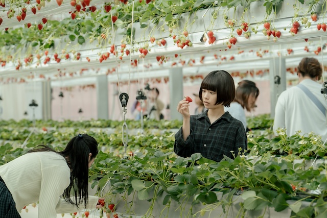 『冬のさ春のね』文菜×ゆきおの関係に決着の画像